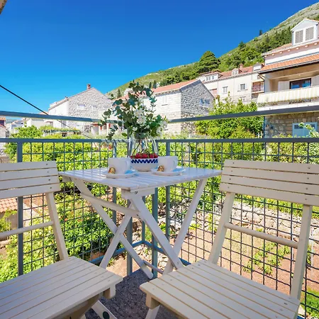 Apartman Terra *